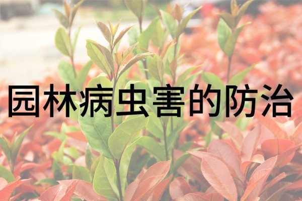 春季园林常见病虫害的防治