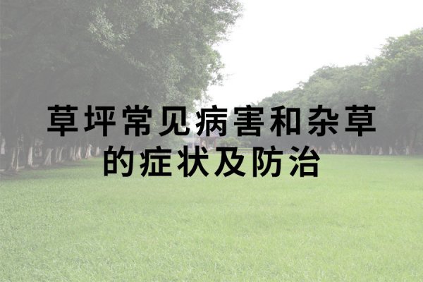 草坪常见病害及杂草的症状和防治