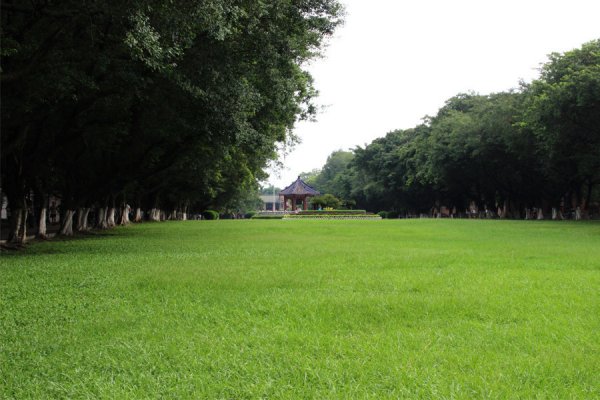 除草剂的基础知识