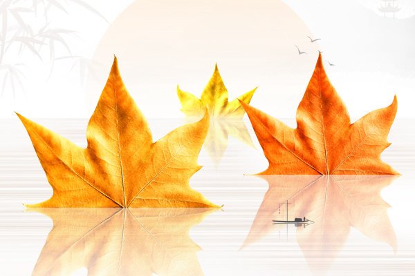 夏日犹未尽，忽觉秋已来。