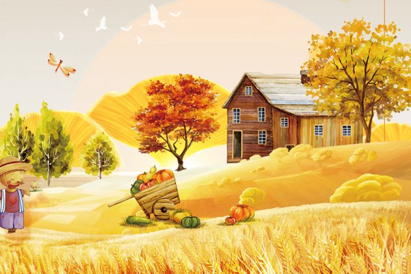 8月份立秋处暑节气的园林养护概述