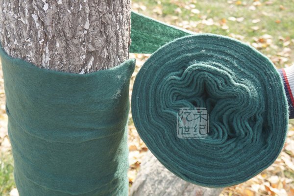 冬季树木防寒带 苗木防寒不可少