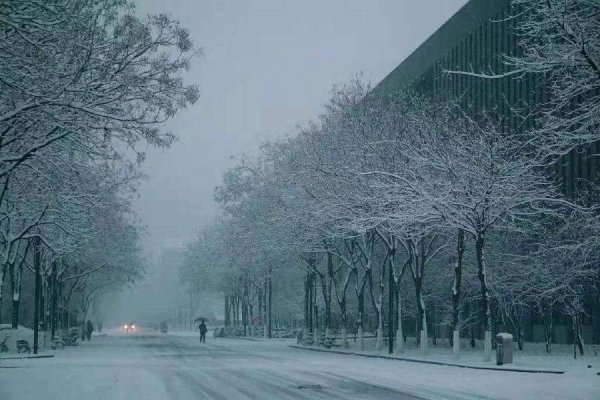 降温了，冬季园林绿化苗木的防护重要通知 